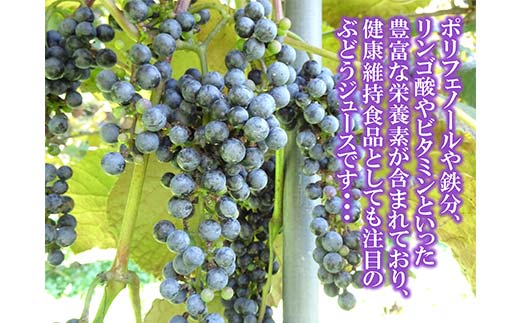 藤澤さんの三陸山田産山ぶどうジュース720ml×1本 フルーツジュース 葡萄 無添加 ビタミン ポリフェノール 鉄分 リンゴ酸 三陸山田 山田町 YD-1040