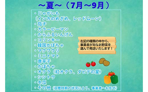 ≪先行予約≫【2026年5月中旬～発送開始！】 カラフルファムの旬のカラフル野菜 60 サイズ 無農薬 減農薬 詰合せ お弁当 食卓 おかず 新鮮野菜 三陸山田 山田町 山田産野菜 YD-1017