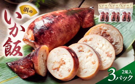 浜の いか飯 2尾入り×3パック 岩手県 三陸山田 山田町 海産品 烏賊 いか イカ いか飯 浜飯 弁当 昼飯 肴  YD-1076