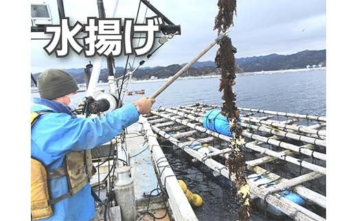 DayDay縺ァ邏ケ莉! 荳蛾匣螻ア逕ー逕」 螻ア逕ー縺ョ繝繝シ繝ォ雋 4kg 繧ア繝繝繝ゥ繧イ繝シ縺翫§縺輔s 謖ッ闊井クク 繝代お繝ェ繧「 驟定頂縺 縺翫▽縺セ縺ソ 繝代シ繝繧」繝シ 螟ァ螳ケ驥 鬲壻サ 豬キ魄ョ 蜀キ阡オ 縺励e縺繧願イ 谿サ莉倥″ 繝繝シ繝ォ雋 雋 譁ー魄ョ 蝗ス逕」 蟯ゥ謇狗恁 荳蛾匣螻ア逕ー 螻ア逕ー逕コ 荳蛾匣 YD-620