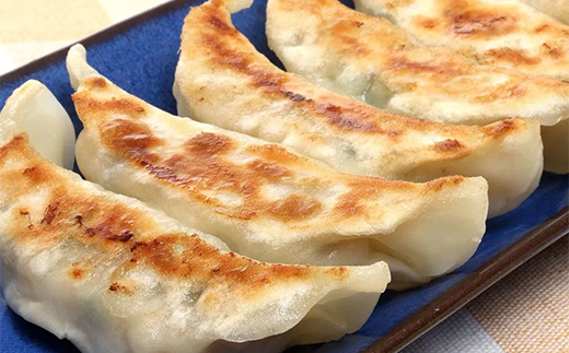 山田の餃子 10個入り×5袋 びはん びはんぱない 岩手県 三陸 三陸山田 山田町 肉 中華 山田の醤油 惣菜 餃子 ぎょうざ 冷凍 おかず おつまみ 弁当 手軽 YD-931