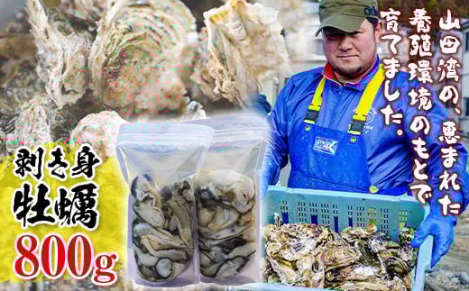 明神丸かき・ほたてきちの 剥き身牡蠣400g×2パック（800g）セット 【配送日指定不可】 【沖縄・離島配送不可】三陸山田 海産品 海産物 かき シーフード  生牡蠣 生がき 生ガキ 海の幸 カキ 牡蠣 貝 魚介 食品 YD-496