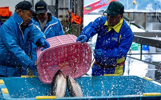 ≪発送期間5月～7月≫三陸やまだオランダ島サーモン×1本（約2kg）【三陸やまだ漁協】【月曜日発送】【沖縄・離島配送不可】三陸山田 山田町 山田湾 山田産 トラウトサーモン 鮭 養殖 刺身 カルパッチョ 生食 YD-1091