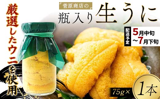 【2026年先行予約】菅原商店の生うに75g 1本【令和8年5月中旬〜7月下旬配送予定】【配送日指定不可】【沖縄・離島配送不可】 三陸山田 山田町 牛乳瓶 海産品 無添加 ミョウバン不使用 雲丹 海栗 YD-921