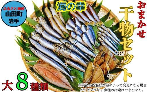 おまかせ干物セット（大）【大和水産】三陸山田 山田町 魚 魚介 干物 おかず 夕飯 詰合せ カワハギ アジ メアジ チダイ サバ イワシ サンマ タラ カレイ ムツ  おつまみ 肴 アテ 海の幸 海産物 食品 YD-833