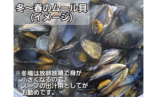 DayDay縺ァ邏ケ莉! 荳蛾匣螻ア逕ー逕」 螻ア逕ー縺ョ繝繝シ繝ォ雋 4kg 繧ア繝繝繝ゥ繧イ繝シ縺翫§縺輔s 謖ッ闊井クク 繝代お繝ェ繧「 驟定頂縺 縺翫▽縺セ縺ソ 繝代シ繝繧」繝シ 螟ァ螳ケ驥 鬲壻サ 豬キ魄ョ 蜀キ阡オ 縺励e縺繧願イ 谿サ莉倥″ 繝繝シ繝ォ雋 雋 譁ー魄ョ 蝗ス逕」 蟯ゥ謇狗恁 荳蛾匣螻ア逕ー 螻ア逕ー逕コ 荳蛾匣 YD-620