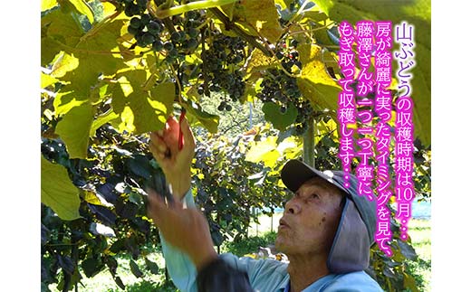 藤澤さんの三陸山田産山ぶどうジュース720ml×2本 フルーツジュース 葡萄 無添加 ビタミン ポリフェノール 鉄分 リンゴ酸 三陸山田 山田町 YD-1041