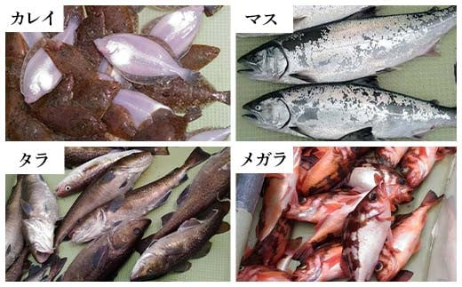 ã岩æäžéžå±±ç°ãé£ãè¹ éŠæ äžž ä¹è¹åž 1åã2åå å±±ç°çº å±±ç°æ¹Ÿ é£ãè¹ è¹é£ã äœéš ã«ã¬ã€ ã¢ã€ãã¡ ãœã€ ã€ã« ã¯ã©ãµ ãã¹ ã¿ã© ã¡ã¬ã© é£ãçšå é£ã ã¢ãŠãã㢠ãã£ãã·ã³ã° YD-687