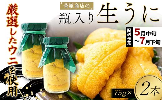 【2026年先行予約】菅原商店の生うに75g 2本【令和8年5月中旬〜7月下旬配送予定】【配送日指定不可】【沖縄・離島配送不可】 三陸山田 山田町 牛乳瓶 海産品 無添加 ミョウバン不使用 雲丹 海栗 YD-922