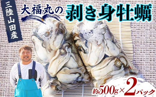大福丸の剥き身牡蠣 約500g×2パック【三陸山田産】【沖縄・離島配送不可】三陸山田 山田町 山田湾 海産品 かき  生牡蠣 生がき 生ガキ 海の幸 カキ 牡蠣 貝 魚介 海産物 食品 YD-724
