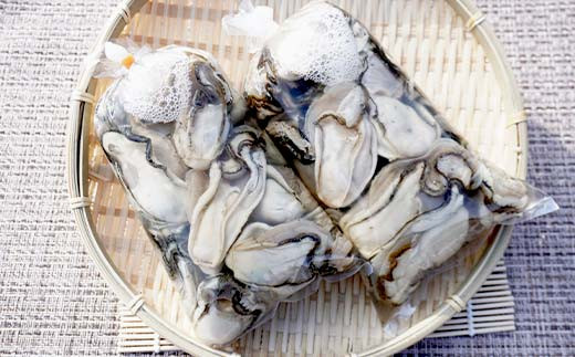 【産地直送】三陸山田産 剥き身 牡蠣 約500g×2パック 大福丸 岩手県 三陸山田 山田町 山田湾 三陸 海産品 かき カキ YD-724