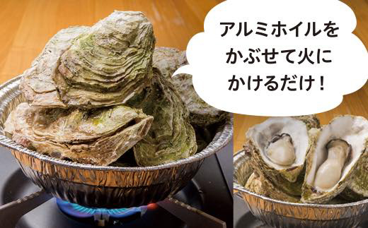 ãå
è¡äºçŽãâªR8幎1æ15æ¥ããçºééå§ïŒâ« ã³ã¯ãã®èªå®
ã§ããå°å±ã»ãã 20åå
¥ã äžéžå±±ç° äžéžç£ å±±ç°ç£ãã å±±ç°æ¹Ÿ æµ·ç£å ããé èžããã ç¡è £ ã«ã äžéžå±±ç°ç¡è £ ãæ²çžã»é¢å³¶é
éäžå¯ã YD-950