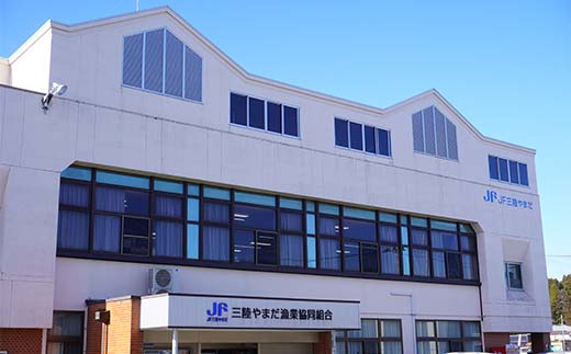 ≪発送期間5月～7月≫三陸やまだオランダ島サーモン×1本（約2kg）【三陸やまだ漁協】【月曜日発送】【沖縄・離島配送不可】三陸山田 山田町 山田湾 山田産 トラウトサーモン 鮭 養殖 刺身 カルパッチョ 生食 YD-1091