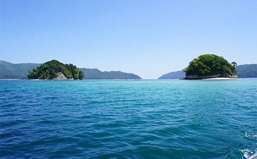 【岩手三陸山田】釣り船 邦栄丸 乗船券 4名分 山田町 山田湾 釣り船 船釣り 体験 カレイ アイナメ ソイ イカ ワラサ マス タラ メガラ YD-689