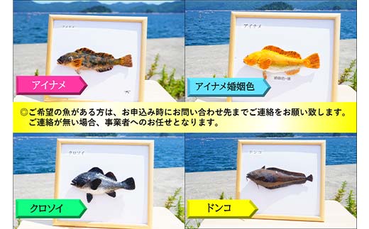 萬さん手作り、本物そっくり魚の模型 2点 三陸山田産 山田町 山田湾 工芸品 職人 匠 YD-936