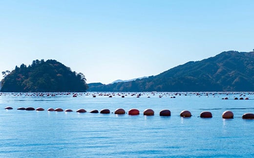 漁師がご案内！漁船に乗って山田湾に浮かぶ養殖いかだ見学クルーズペアチケット   体験 体験チケット チケット YD-506
