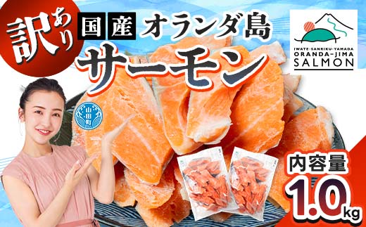 《訳あり》山田町産オランダ島サーモン切り身 約1kg×1袋【長根水産】無添加鮭 魚介類 海鮮 訳アリ 規格外 不揃い さけ サケ 鮭切身 シャケ 切り身 冷凍 家庭用 おかず 弁当 トラウトサーモン 三陸山田 山田町 山田湾 海産品 YD-1029