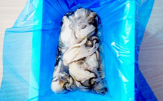 【産地直送】三陸山田産 剥き身 牡蠣 約500g×1パック 大福丸 岩手県 三陸山田 山田町 山田湾 三陸 海産品 かき カキ YD-723