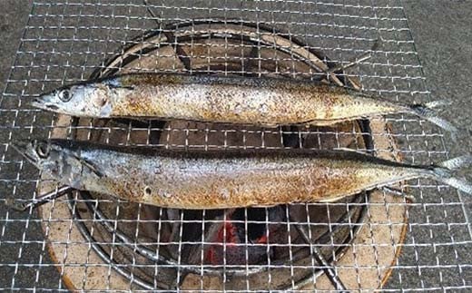 縺翫∪縺九○蟷イ迚ゥ繧サ繝繝茨シ井クュシ峨仙、ァ蜥梧ーエ逕」縲台ク蛾匣螻ア逕ー 螻ア逕ー逕コ 鬲 鬲壻サ 蟷イ迚ゥ 縺翫°縺 螟暮」ッ 隧ー蜷医○ 繧ォ繝ッ繝上ぐ 繧「繧ク 繝。繧「繧ク 繝√ム繧、 繧オ繝 繧、繝ッ繧キ 繧オ繝ウ繝 繧ソ繝ゥ 繧ォ繝ャ繧、 繝繝 YD-832