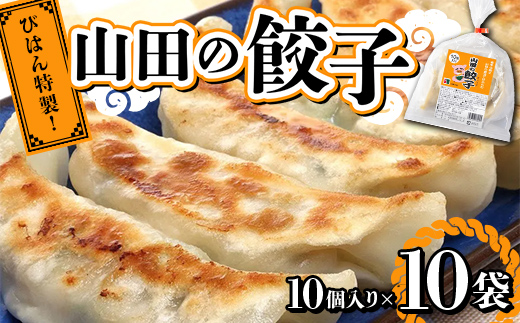 びはん特製！山田の餃子10個入り×10袋 三陸山田 山田町 肉 中華 山田の醤油 惣菜 YD-932
