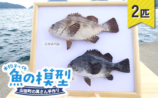 萬さん手作り、本物そっくり魚の模型 2点 三陸山田産 山田町 山田湾 工芸品 職人 匠 YD-936
