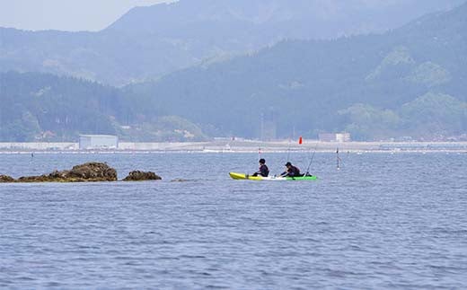 山田湾シーカヤック クルーズ券 3名分【ジオトレイル カヤック フードプログラム】三陸山田 山田町 海 釣り 体験 マリンスポーツ マリンツーリズム マリンレジャー Geotrail EFRICA APIA YD-680