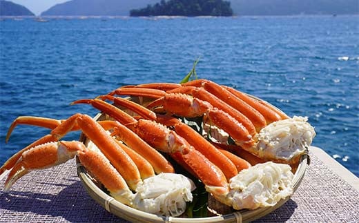 川秀のズワイガニ 2Lサイズ3肩入り(680g前後 ×1パック) 三陸山田 岩手県山田町 カニ 蟹 海産品 ズワイガニ  かに ずわい蟹 ずわいがに 海の幸 ガニ 魚介 海産物 海鮮 食品 YD-732