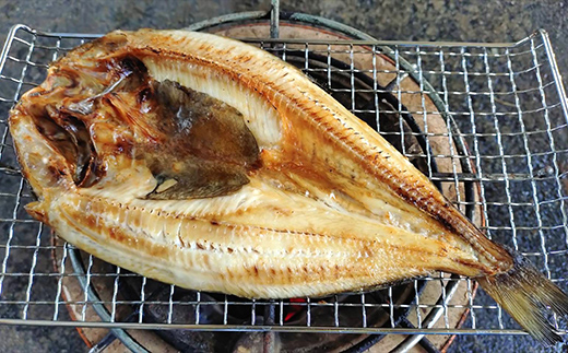 縲千┌豺サ蜉縲大嵜逕」 逵溘帙ャ繧ア 螟ァ繧オ繧、繧コテ暦シ疲椢 閧牙字 蜀キ蜃 縺サ縺」縺 蟷イ迚ゥ 蛹玲オキ驕鍋肇 荳螟懷ケイ縺 鬲 鬲壻サ 縺、縺セ縺ソ 閧エ 蜴ウ驕ク 縺、縺セ縺ソ 蟯ゥ謇狗恁 荳蛾匣螻ア逕ー 螻ア逕ー逕コ 荳蛾匣 螟ァ蜥梧ーエ逕」 YD-1079