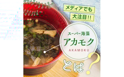 螻ア逕ー貉セ逕」 螟ゥ辟カ 螻ア逕ー繝励Ξ繝溘い繝繧「繧ォ繝「繧ッ 蜀キ蜃 30gテ3蛟 10繧サ繝繝 豬キ阯サ 荳蛾匣螻ア逕ー 豬キ縺ョ蟷ク 鬲壻サ 豬キ逕」迚ゥ 鬟溷刀 YD-467