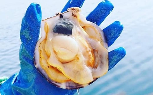 明神丸かき・ほたてきちの 剥き牡蠣800gと 剥きホタテ10個のセット【配送日指定不可】【沖縄・離島配送不可】 三陸山田 海産品 海産物 かき ほたて シーフード YD-1047