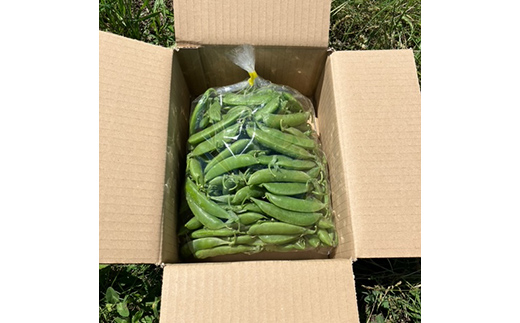 ã5æäžæ¬ã6æäžæ¬çºéïŒã ã¹ããããšã³ã㊠1kg ããã蟲å äžéžå±±ç° å±±ç°çº éè ææ©æ œå¹ ç¡èŸ²è¬ YD-1087