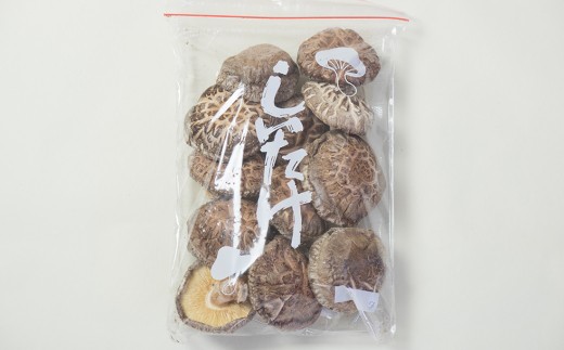荳蛾匣螻ア逕ー逕」縲蜴滓惠荵セ讀手減縲碁ヲ吩ソ。縲堺ク蛾匣螻ア逕ー 螻ア逕ー逕コ 驥手除 縺阪ョ縺 縺阪ョ縺灘錐莠コ 霎イ譫玲ーエ逕」螟ァ閾」雉 蛹 繧ュ繝弱さ 鬟溷刀 YD-454