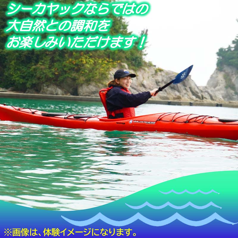 山田湾を満喫！無人島カヤックツアー1～2名様【うみと私と】三陸山田 山田町 山田湾 オランダ島 エメラルドグリーン マリンスポーツ 海 レジャー YD-845