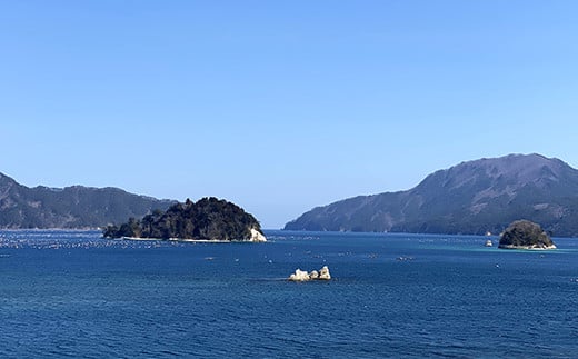 レンジで温めるだけ！スモークラボ香屋の燻製パエリア 3袋セット 【配送日指定不可】 おかず 冷凍 惣菜 加工品 食品 YD-590