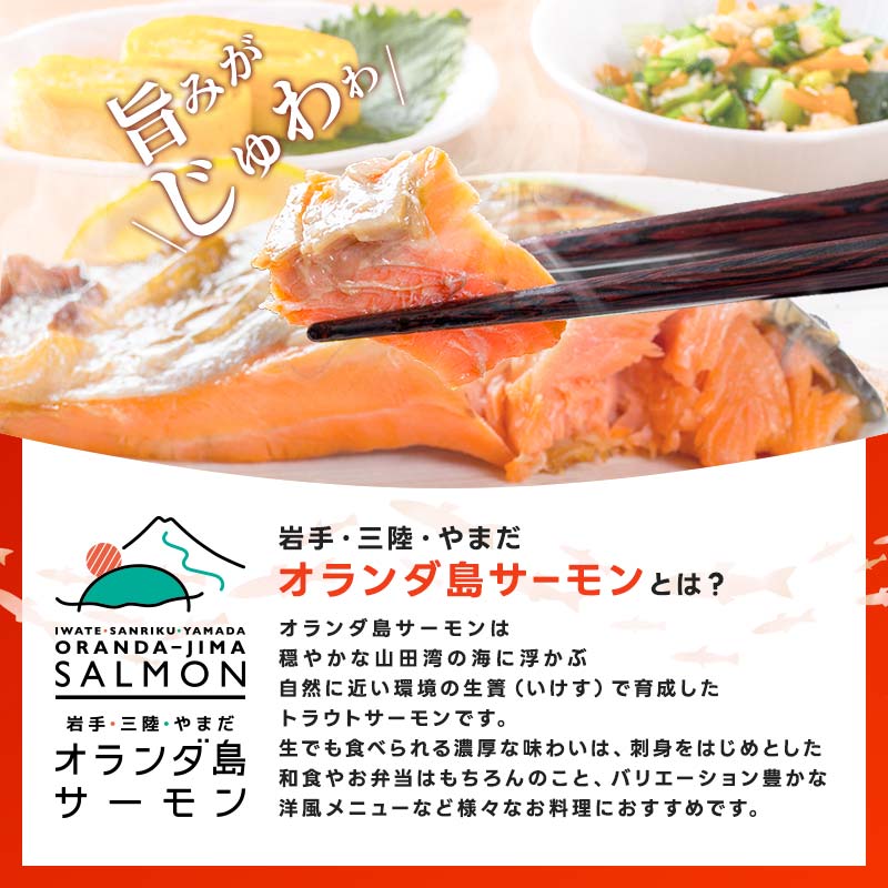 《訳あり》山田町産オランダ島サーモン切り身 約1kg×1袋【長根水産】無添加鮭 魚介類 海鮮 訳アリ 規格外 不揃い さけ サケ 鮭切身 シャケ 切り身 冷凍 家庭用 おかず 弁当 トラウトサーモン 三陸山田 山田町 山田湾 海産品 YD-1029