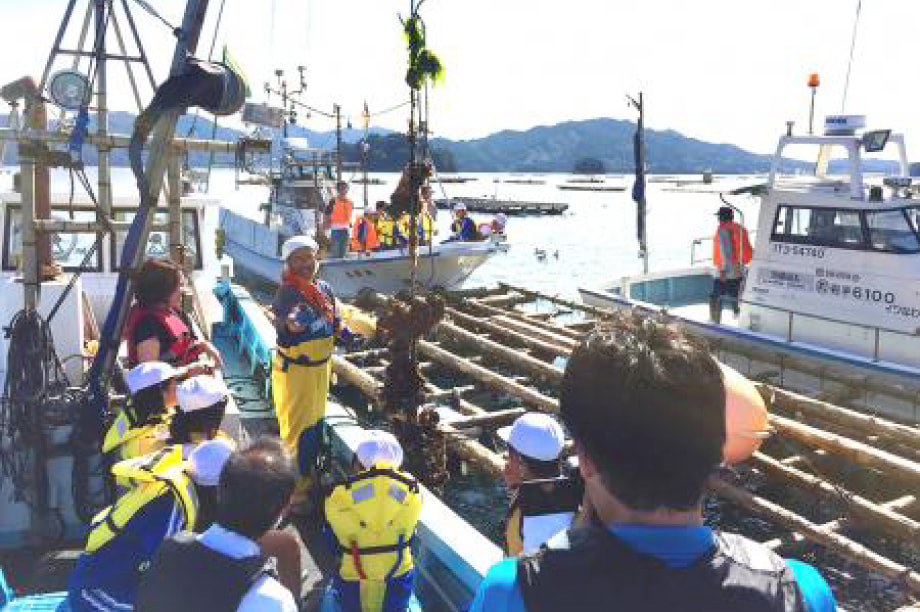 逕」讌ュ謖ッ闊