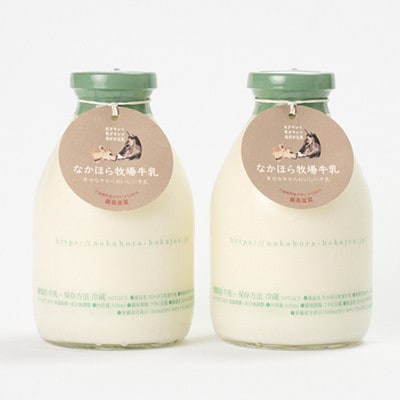 【毎月定期便】なかほら牧場牛乳〔500 ml〕2本セット全6回【配送不可地域：離島】【4075351】
