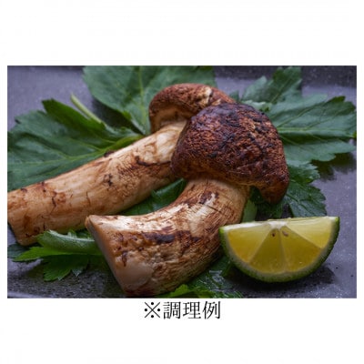 ã2026ç§çºéãâªç£å°çŽéâ«ã岩æ³ãŸã€ãã 1kgãé
éäžå¯å°åïŒé¢å³¶ãã1423716ã