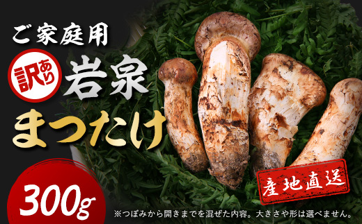 【2026秋発送】【訳あり】ご家庭用 岩泉まつたけ 直送 300g【配送不可地域：離島】【1423400】
