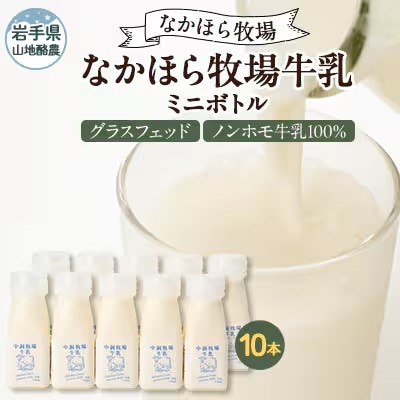 【毎月定期便】なかほら牧場 牛乳ミニボトル 10本全3回【配送不可地域：離島】【4075361】