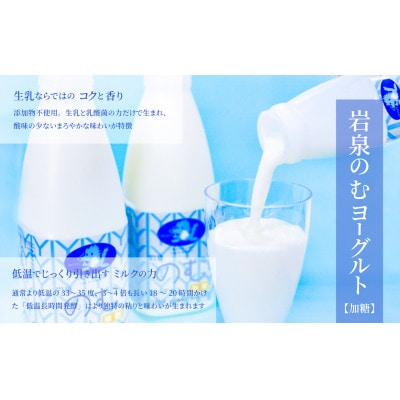 岩泉ヨーグルトのお酒　岩泉ヨーグルト×南部美人のお酒　スーパーフローズン　700ml×1本　【配送不可地域：離島】【1700079】