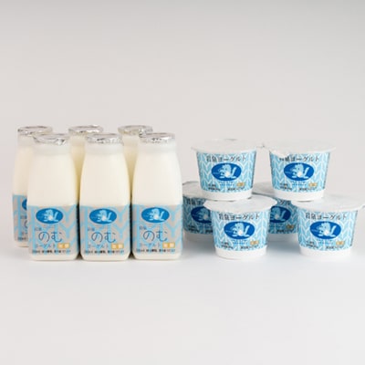 【毎月定期便】岩泉ヨーグルト90g×6個・のむヨーグルト200ml×6本セット全3回【配送不可地域：離島】【4069395】