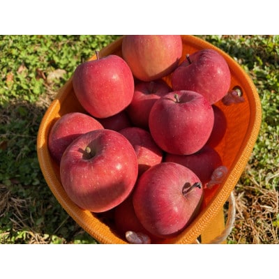 したみち農園 / りんごジュース 果汁100% 180ml×6本セット【1724882】