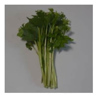 龍泉洞花わさび 計300g 岩泉町産【配送不可地域：離島・沖縄県・九州】【1732461】