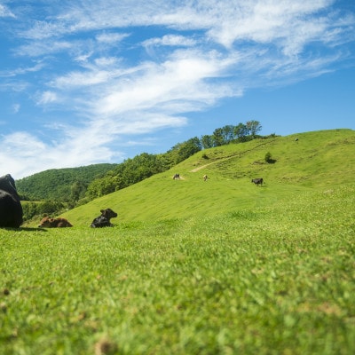 ãªãã»ãç§å Ž ã°ã©ã¹ãã§ããããŒã(è§åã)ã»ã°ã©ã¹ãã§ãããã¿ãŒã®ã»ãããé
éäžå¯å°åïŒé¢å³¶ãã1624030ã