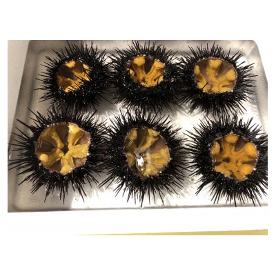 三陸小本浜産　生ウニ(牛乳瓶・150g)2本入り【配送不可地域：離島・沖縄県・九州】【1409844】