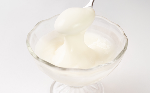 岩泉ヨーグルト2袋セット(加糖・プレーン各1kg×1袋)【配送不可地域：離島】【1245855】