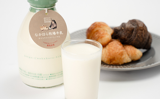 なかほら牧場牛乳〔500 ml〕2本セット【配送不可地域：離島】【1354886】