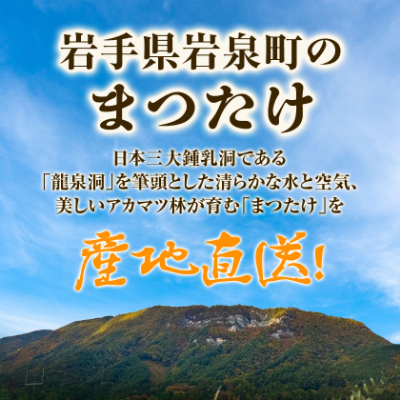 【2026秋発送】≪産地直送≫　岩泉まつたけ 250g【配送不可地域：離島】【1423712】