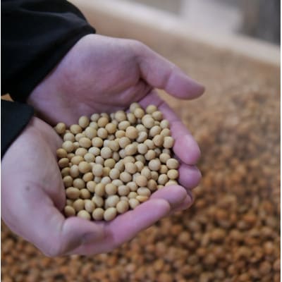 岩æ³ã¿ãã䞊ã900gÃ2ãã㯠18ã¶æé·æçæ å€©ç¶éžé ç¡æ·»å å³å çºé
µçå³å èªå®¶è£œç±³éº¹äœ¿çšãé
éäžå¯å°åïŒé¢å³¶ãã1710110ã